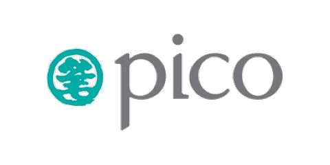 Pico Art International